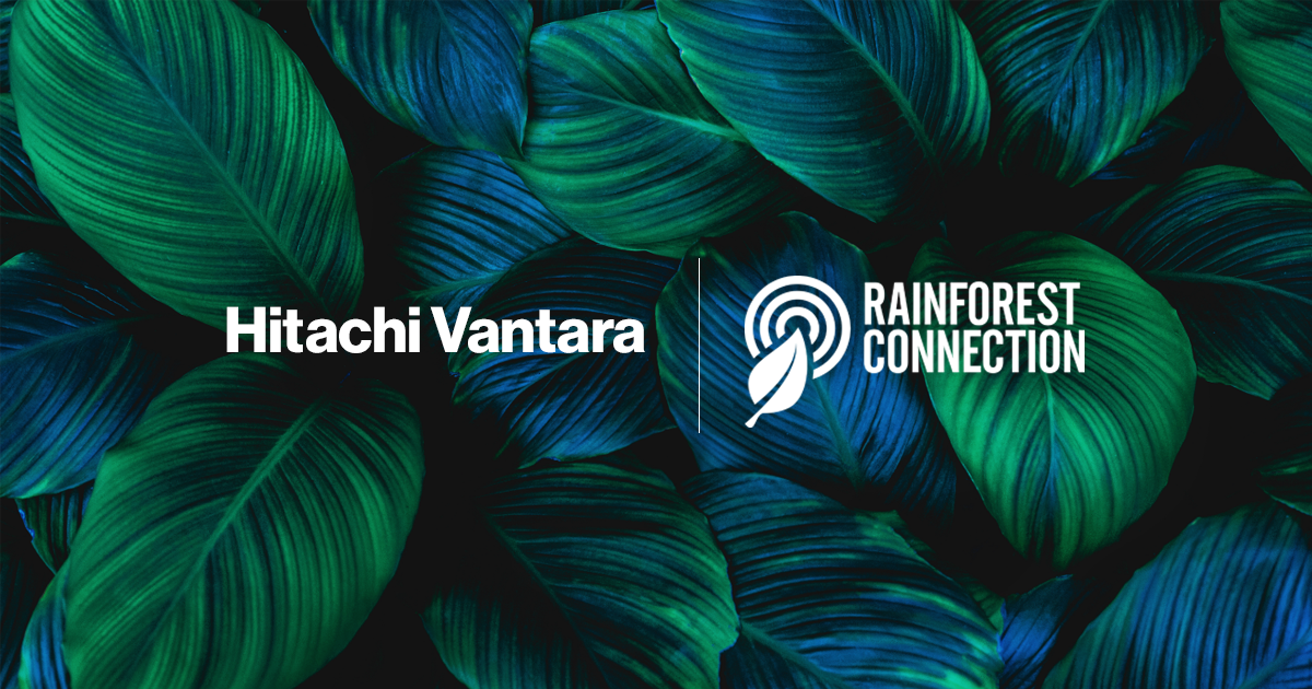 Hitachi Vantara y Rainforest Connection continúan su colaboración para proteger los bosques tropicales a través de los datos y la IA