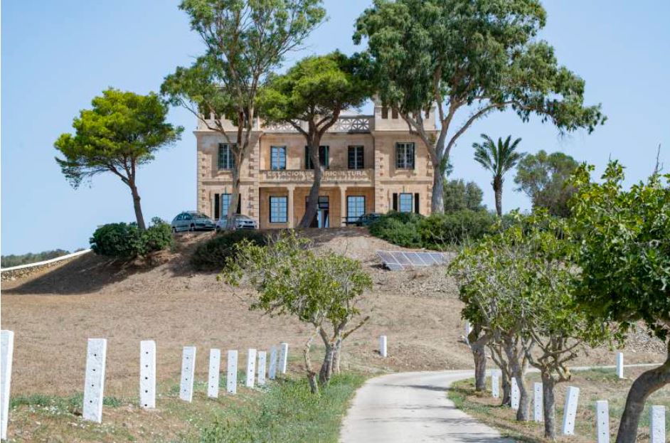 Las nuevas oficinas de Menorca Reserva de Biosfera son un ejemplo de eficiencia energética y consumo reducido