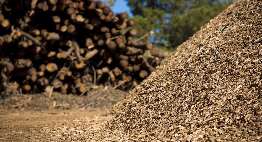 Riesgo para el sector de la biomasa si la regulación no reconoce sus costes