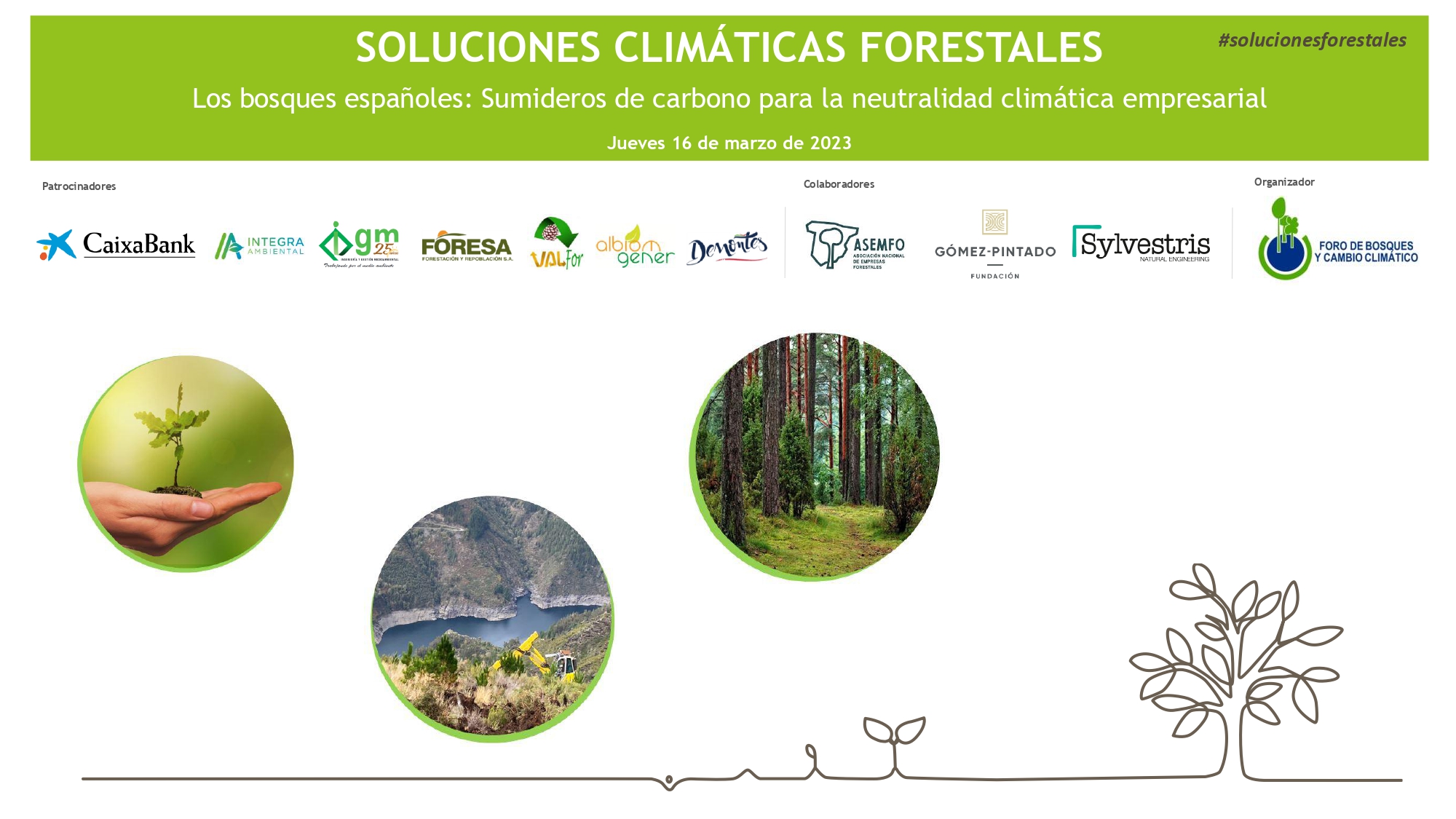 Los bosques españoles: Clave en la lucha contra el cambio climático y en la neutralidad climática empresarial