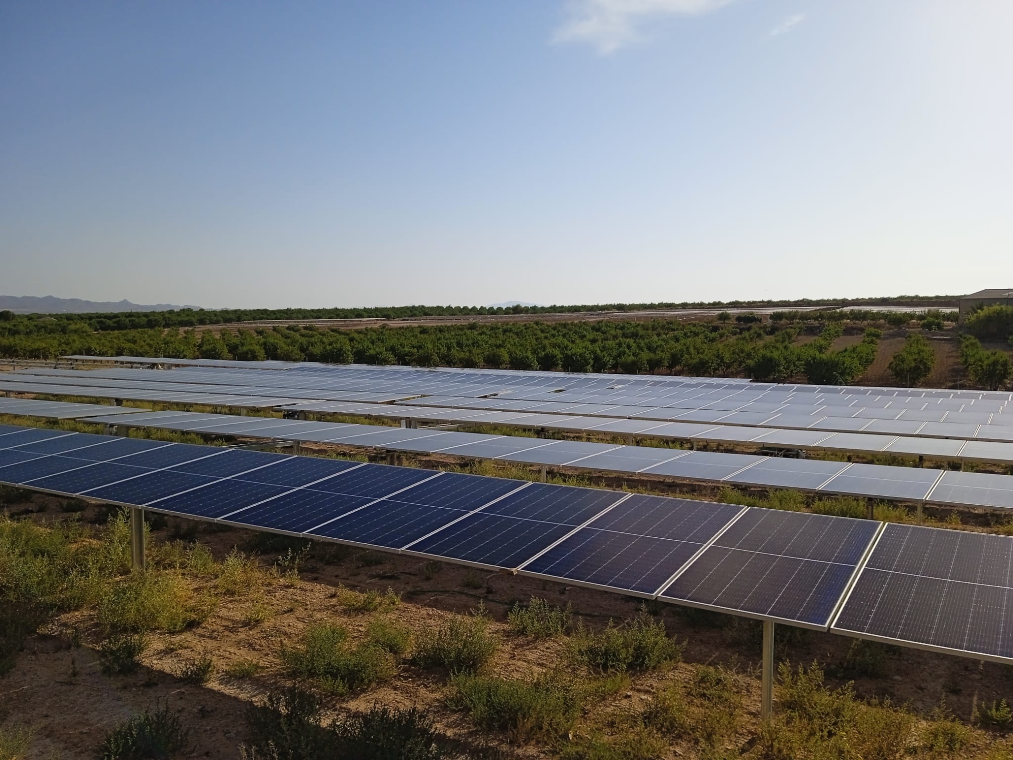 Comunidad Solar abre las puertas del autoconsumo de energía renovable al 65% de la población en España que hasta ahora no podía disfrutarlo